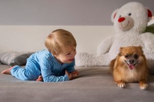 Cómo preparar tu hogar para la llegada del bebé si ya tienes mascotas en casa